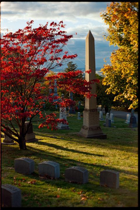 Greenwood Cemetery, Gold 200, Olympus OM-1, Zuiko 50mm f/1.8