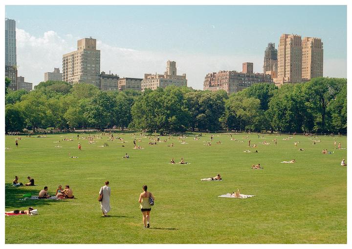 Sheep Meadow [Nikon F3, 50mm 1.8, Kodak Gold 200]