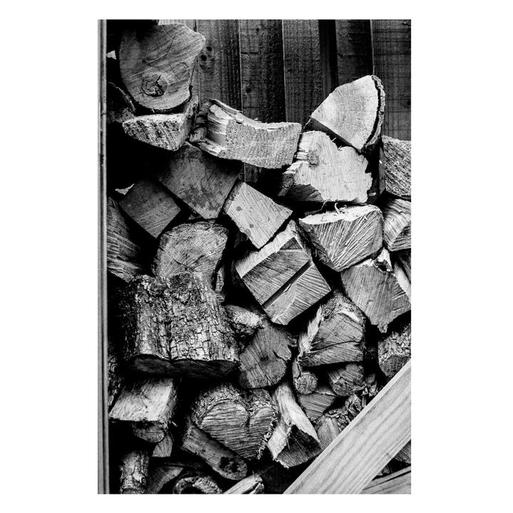 Beautiful Texture [Nikon FG-20 | 50 1.8D | HP5]