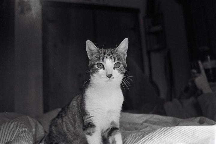 From common to uncommon {Ilford hp5, Minolta SRT}