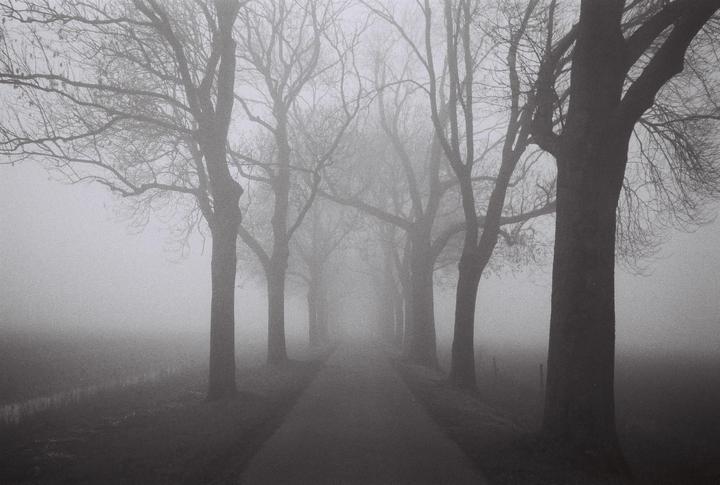 Into the void / Konica Big Mini 300 with 35mm 3.5 lens & Ilford Delta 400