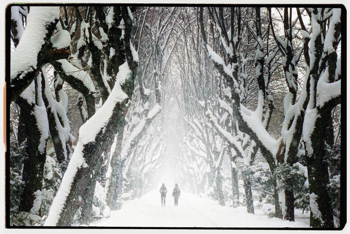 Life in snow | Nikon F3 | Cinestill 800t