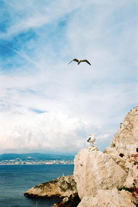 Marseille - Leica M4P Minolta Rokkor 40mm f/2