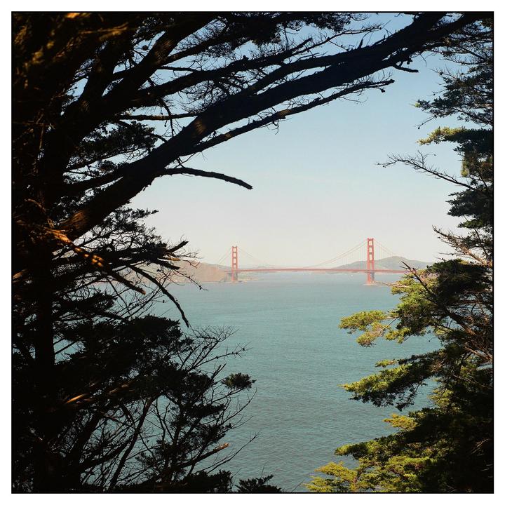 Golden Gate Peekaboo - Fuji Pro400h - Zeiss Super Ikonta 532/16