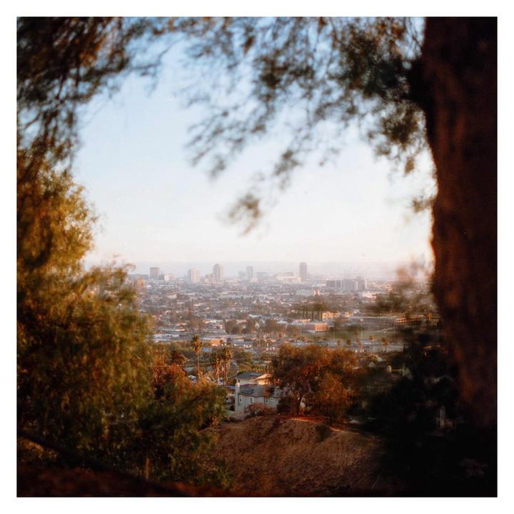 Hilltop Harman [Rolleiflex 2.8F | Harman Phoenix 200]