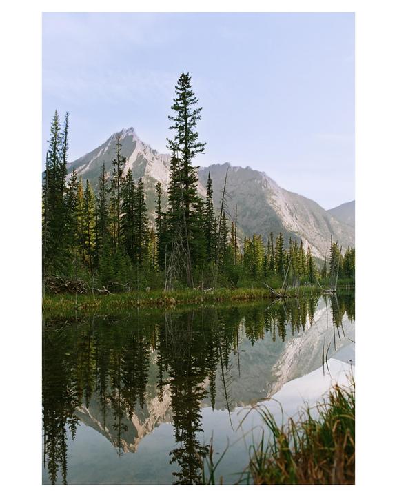 A few photos I’ve taken in the past few days [Nikon F2 | various lenses | Ektar 100]