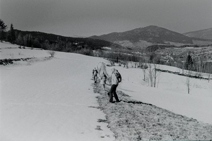 The last taste of snow in spring | Rollei Pan 200