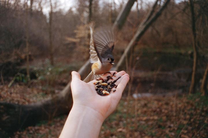 Flight [Topcon RE Super - 25mm - Cinestill 400D]