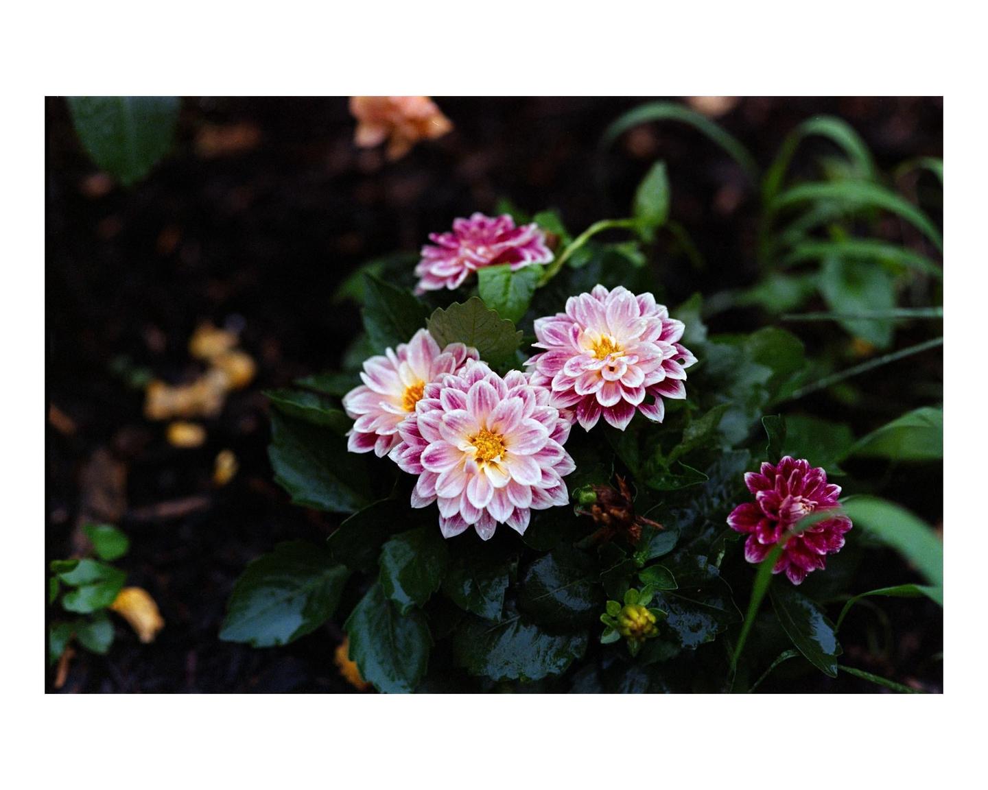 image 34907 by hhdoesit
