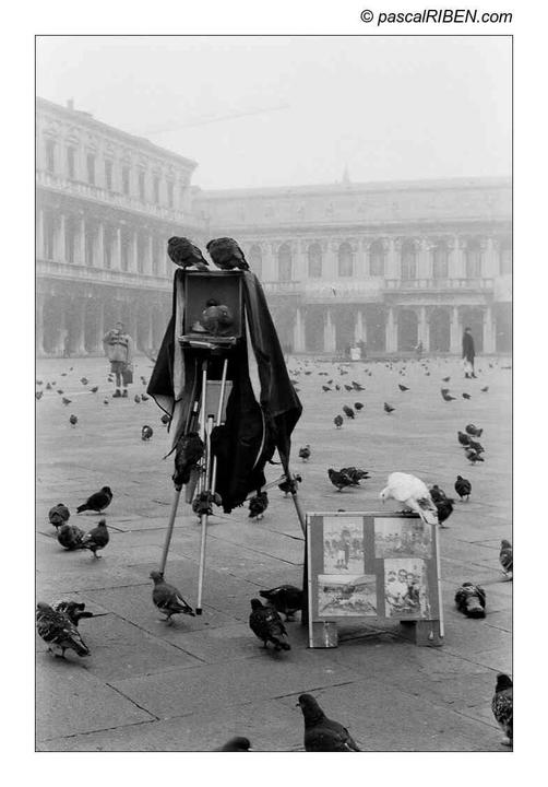 Venice, Italy - TRI-X 400