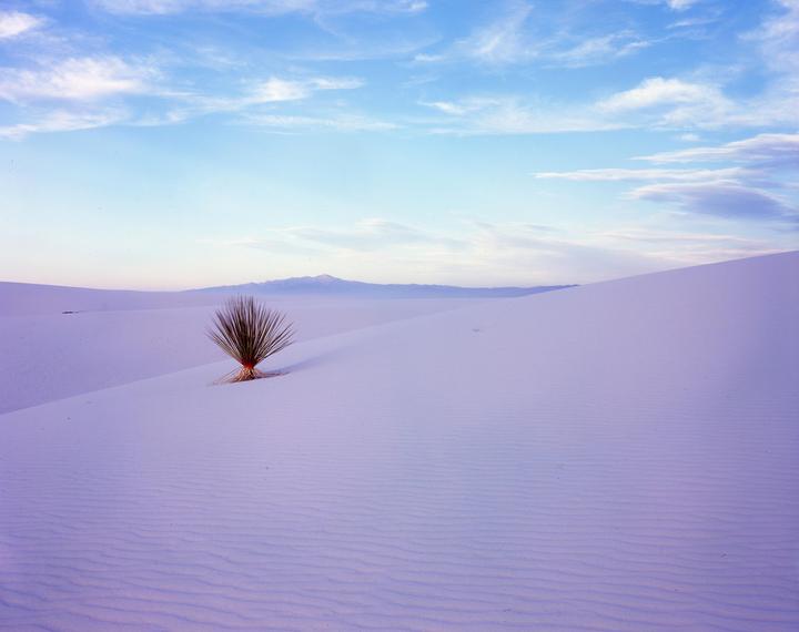 Sand Dunes. Fuji Velvia 100 4x5. Toyo 45GX, Schneider 150mm f/5.6