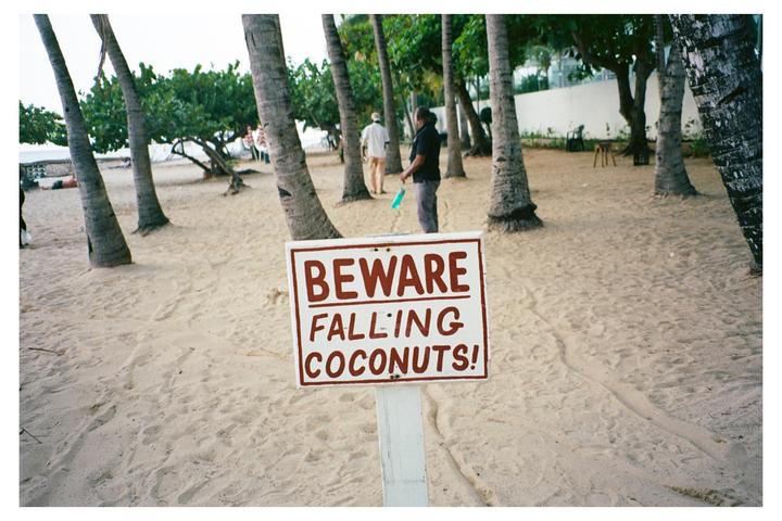 A white sign with red text warning of falling coconuts stands on a sandy beach surrounded by palm trees.