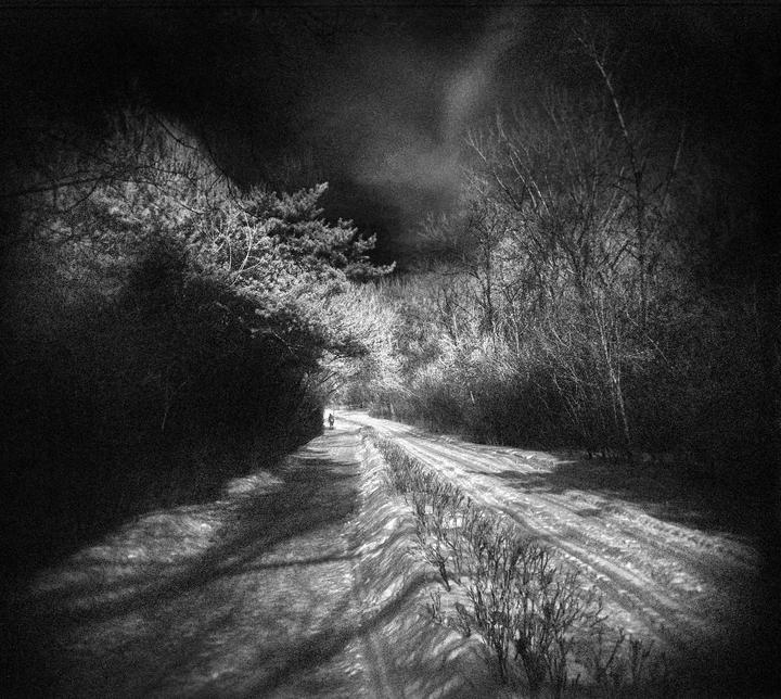 Agfa Aviphot Pan 200 (Reflx Lab Pan 200) pushed to 1600 with an R72 filter