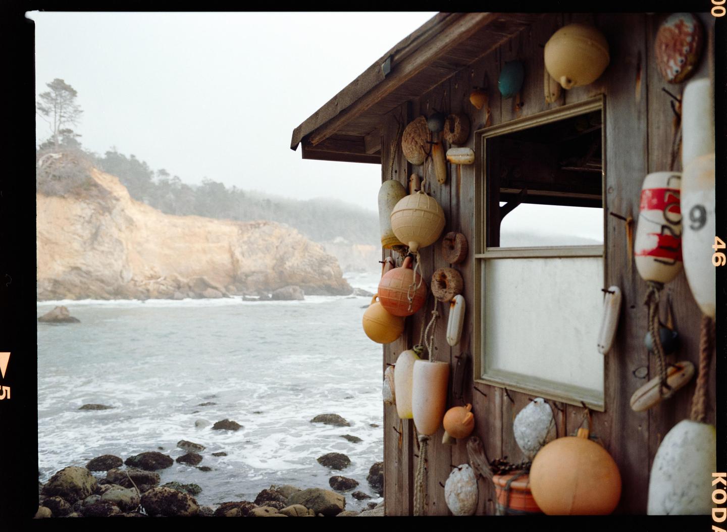 image 37648 by shirtless_nyquil