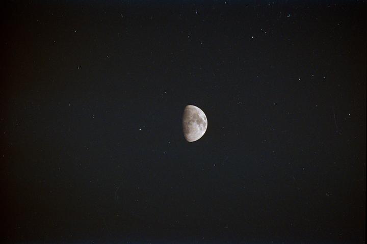 These aren't stars [Canon AE1-P, Tokina SL 400mm f/5.6, Kodak Ultramax 400]