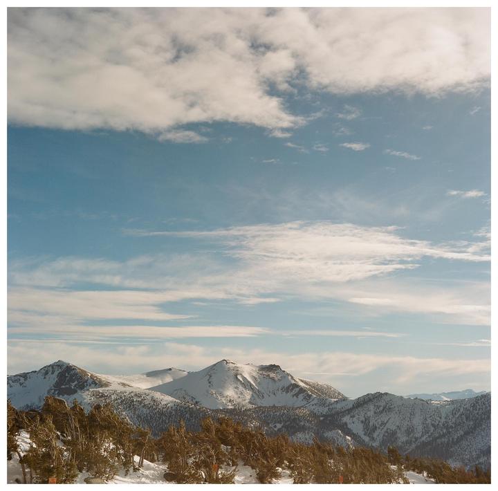 First time ever shooting medium format: Yashica-D | Portra 400 | Tahoe - Jan 2026