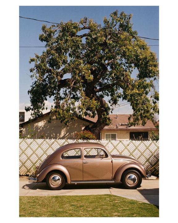 Some photos around my neighborhood (Nikon FG, 50mm f/1.8, ColorPlus 200)