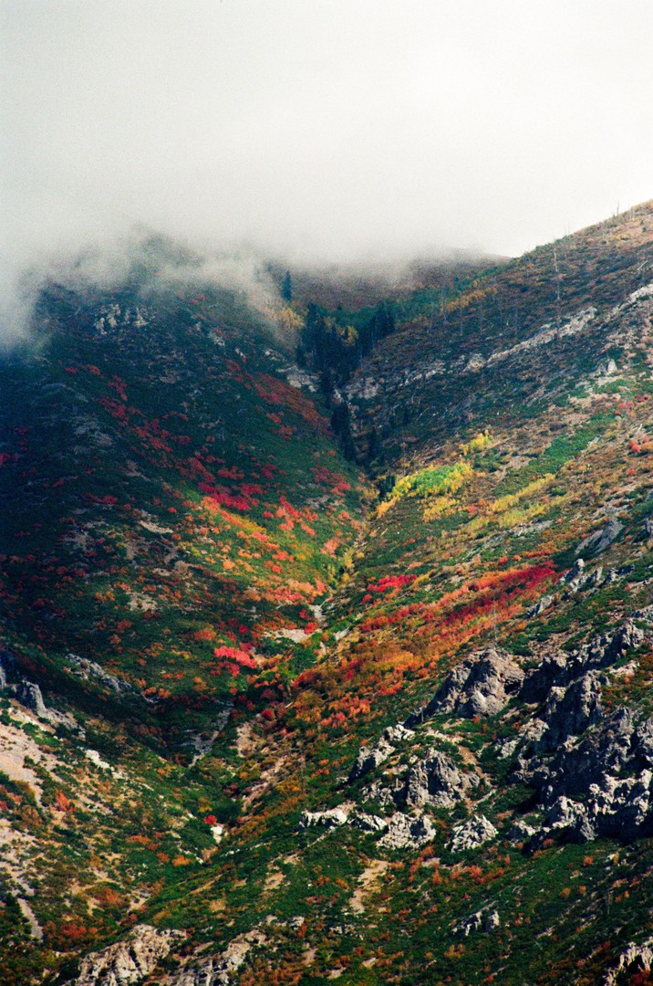 Fall colors from the state liquor store parking lot, Utah. [Nikon F5, 180 2.8D, Kenko DGX 2x TC, Ultramax 400], shot on nikon f5 with kodak ultramax 400