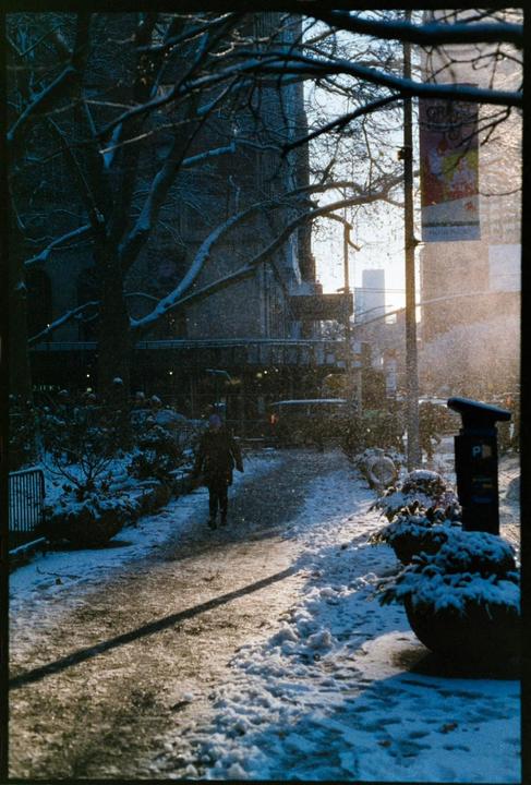 First snow [Nikon F4, Phoenix II]
