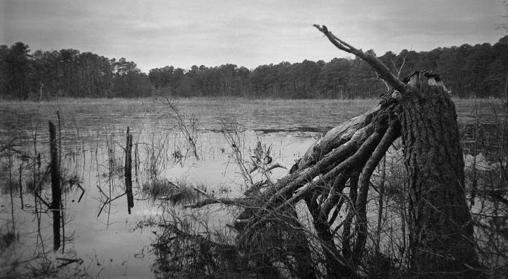 A Point and Shoot Landscape [Orwo UN54]