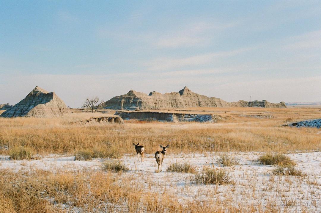 image 35798 by commiedeschris