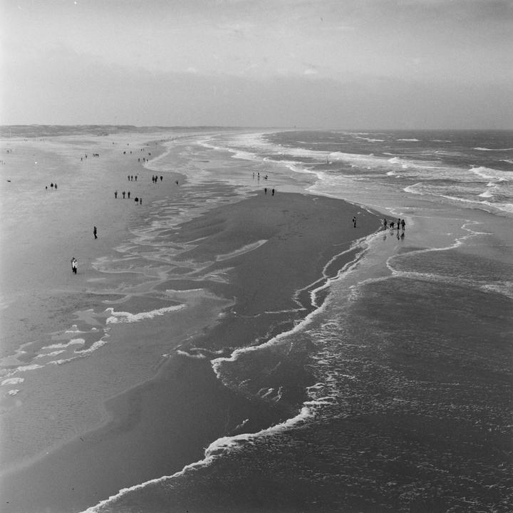 First roll [Hasselblad 500cm, CF 80mm F2.8, Expired Tmax100]