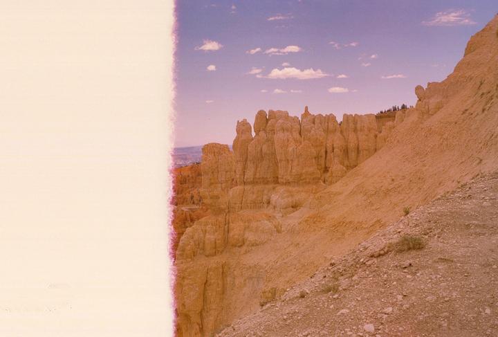 1st shot of Provia 100f coming in