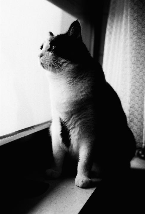 ■ Fomapan 200 ■ „Paul“