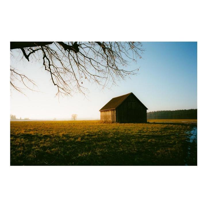 Sunset Walks | Leica MP | Portra 400
