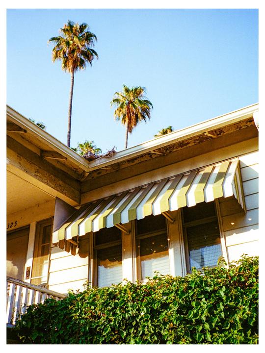 Contax T2 || Fujifilm 400