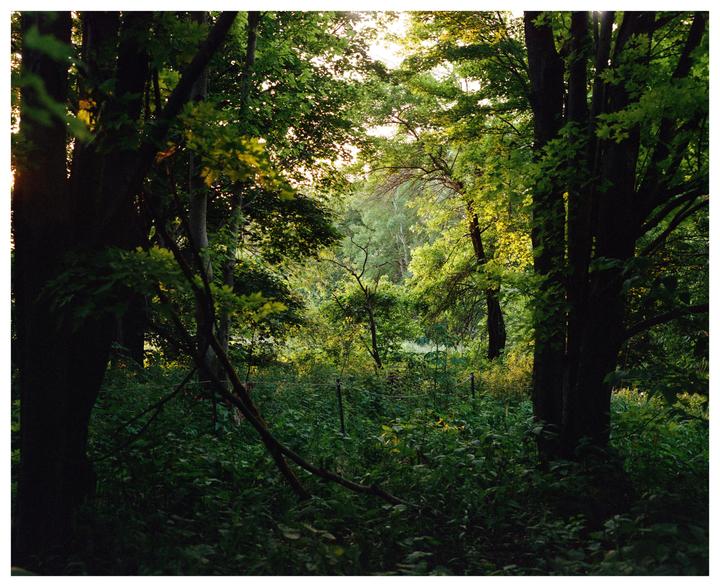 Bird Sanctuary. Pentax 6x7 | 105 f2.4 | Portra 400