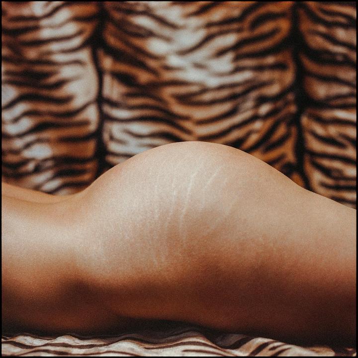 "Panthera tigris" (Mamiya RB67 Pro-S & Kodak Portra VC 400@100 (exp. 08/2006))