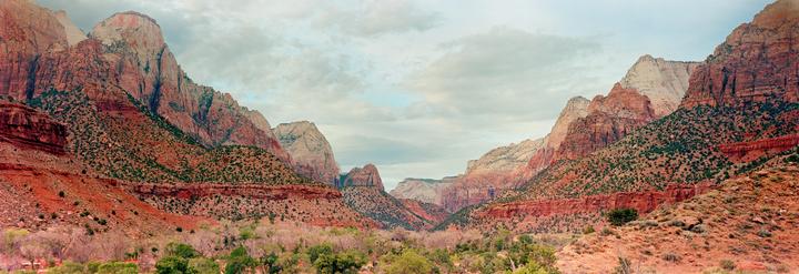 Zion National Park on 6x17 (Wista 45n, Fuji 150mm, & Portra 400)