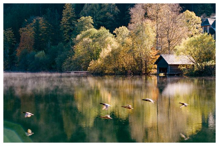 Fog clearing over the lake, fall colors, reflections, ducks flying, and why oh WHY did I forget to bring the lens hood? [Nikon F100, Portra/UltraMax, Polarizer]