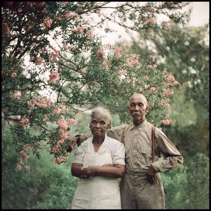 Any idea what film stock was used for these photos?