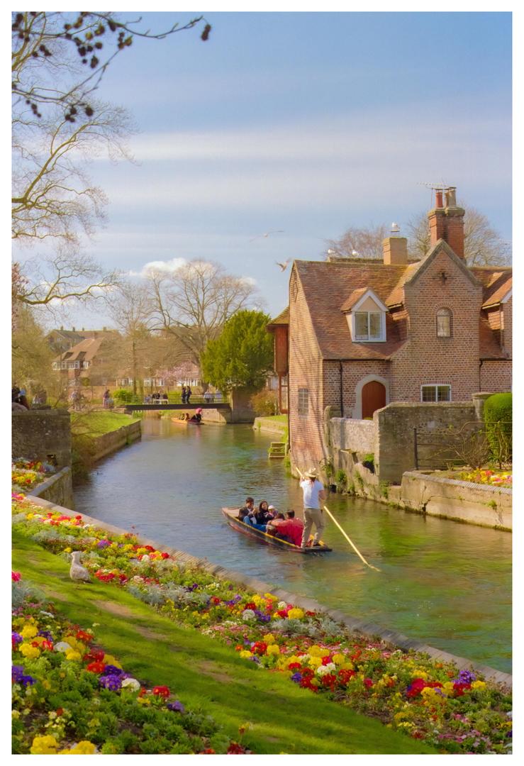 Spring in Canterbury, shot on CANON AE-1