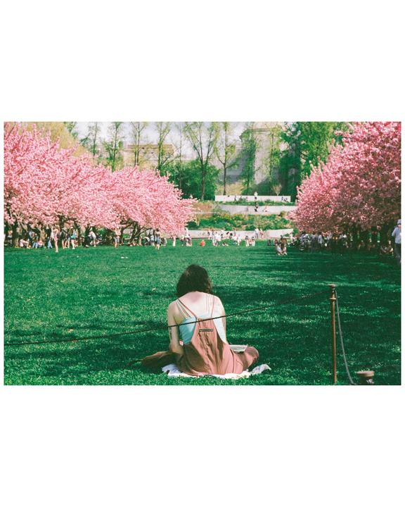 Making art in prospect park/ Nikon FE/ 85mm 1.8/ Portra 400 +1