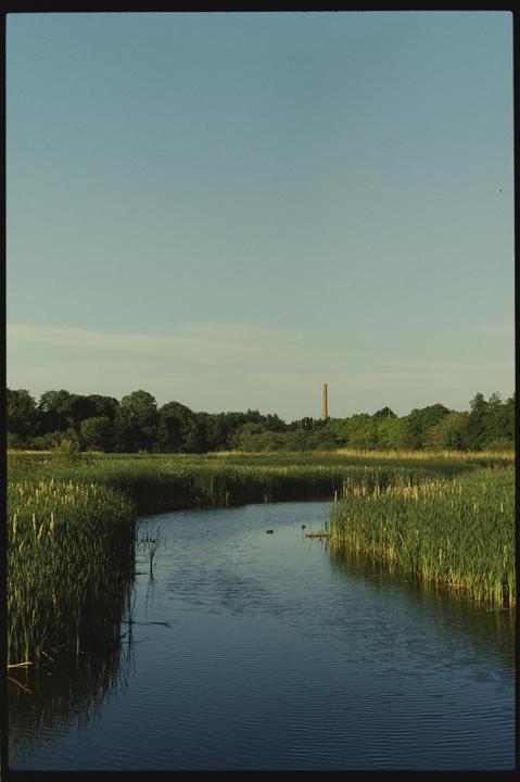 Across the pond. [Canon AE-1P / FD 50mm 1.4 / Silbersalz 250D]