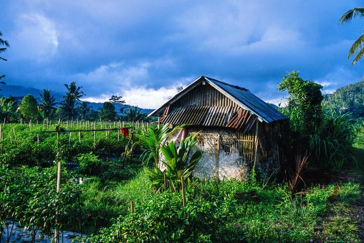 3 days in east Bali [Nikon FM2n, 28mm f/2.8 and 50mm f/1.8, Provia 100F]