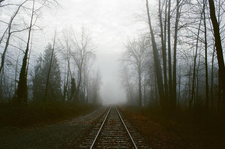 Foggy Tracks [Mamiya MSX 1000 | Vivitar 28mm f2.5 | Kodak Ultramax 400]
