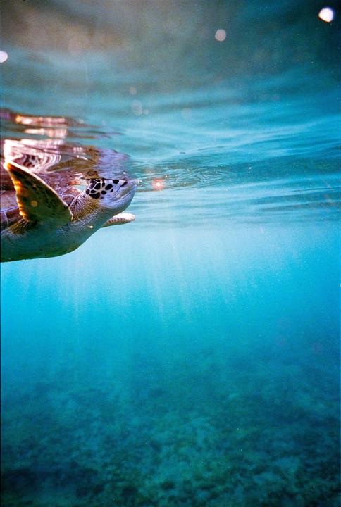 Today may have been even more magical than yesterday.. Cine 800T / Nikonos V
