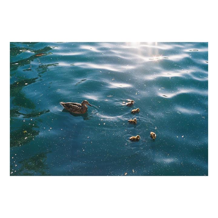 My First 4 Rolls | Minolta X-700 | Fujifilm 400 & Kodak Ultramax 400