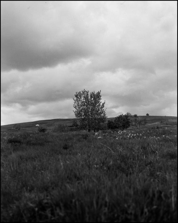 Kentmere 100