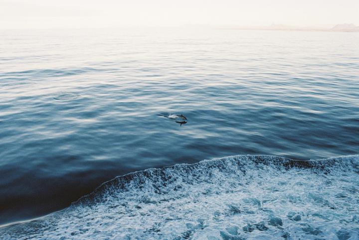 Why are these close to being "Alright" - OM-4Ti , 28mm,  Kodak Gold.