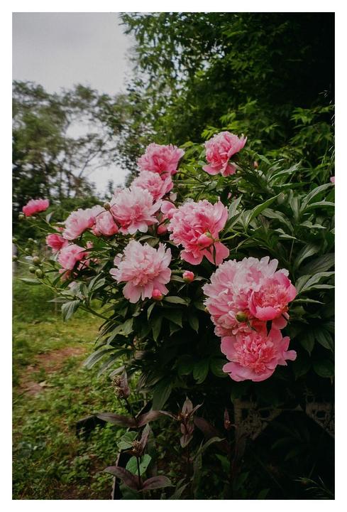 i think Pro Image is my new fave film stock
