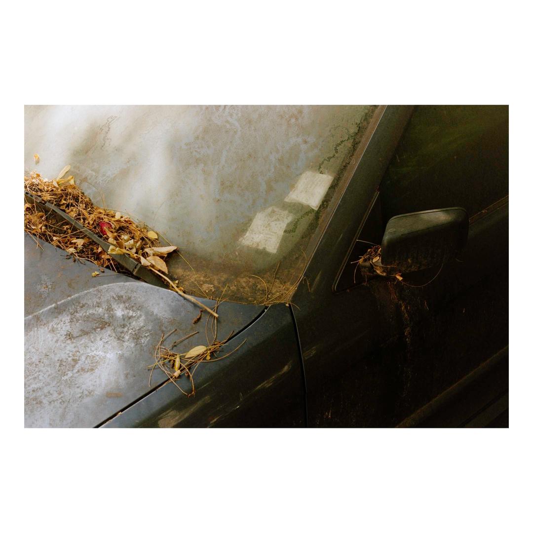 image 35155 by arcccp