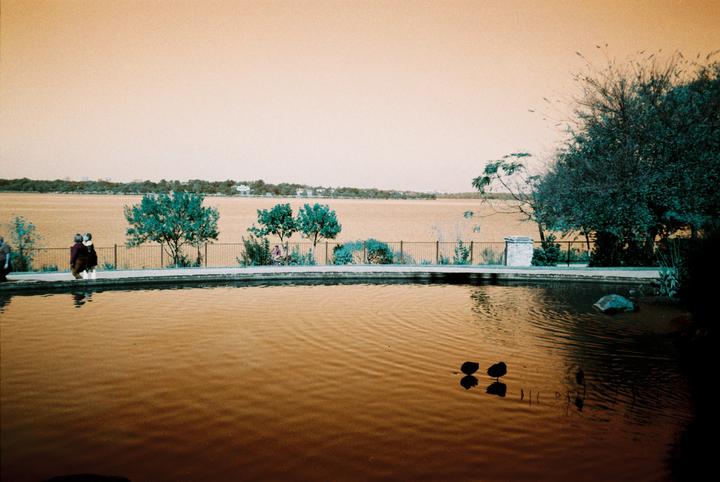Olympus Stylus/Lomography Purple