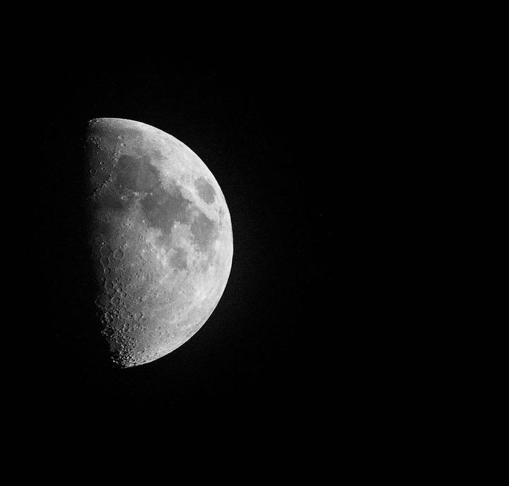 [Nikon FG] Natural B&W subjects are convenient🌙