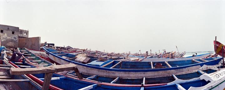 Life in Mauretania, Horizon 202, Vision 500T