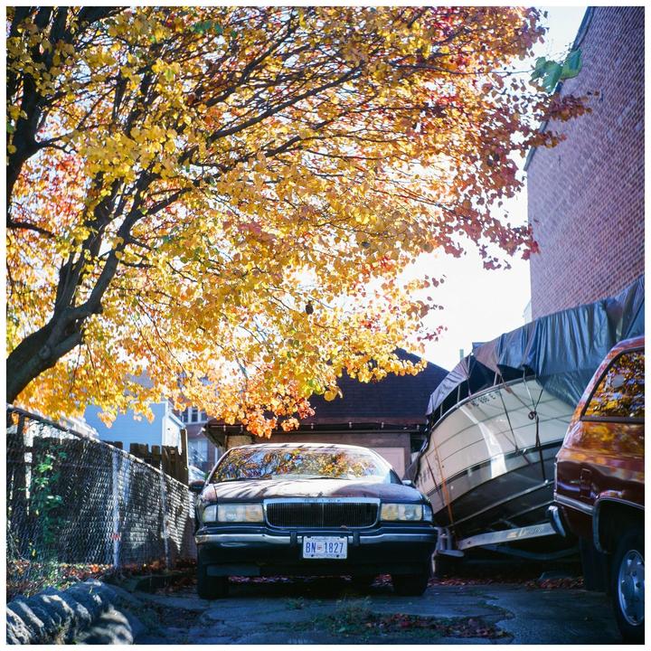 Late fall/winter vibes on Ektachrome (Seagull 4A, 120 Ektachrome)